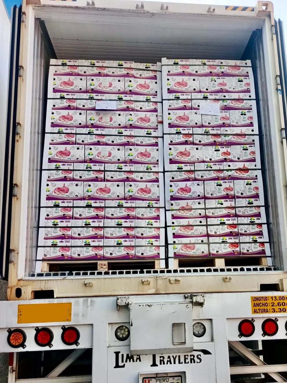 Garlic logistics container